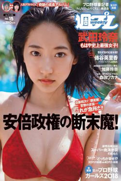 电视剧新女婿时代